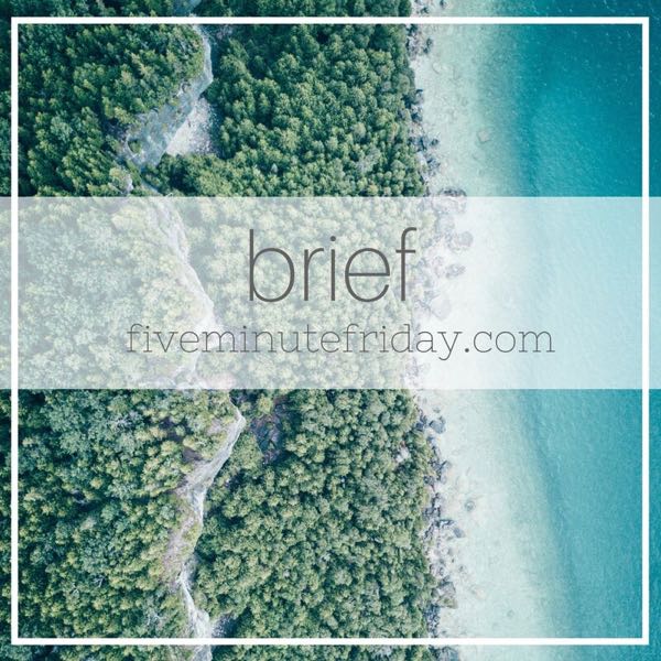 Brief - 31 Days of Five Minute Free Writes 