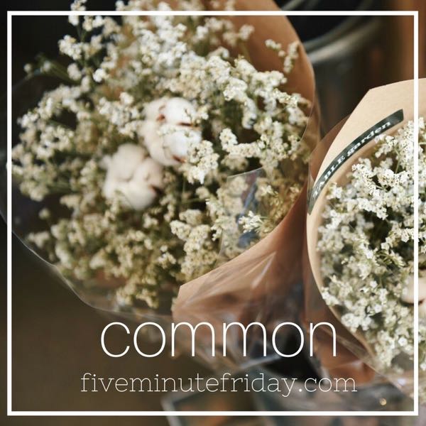 Common - 31 Days of Five Minute Free Writes 
